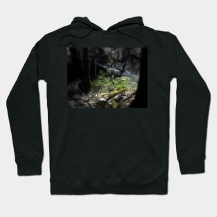 snowy Oregon forest 11 Hoodie